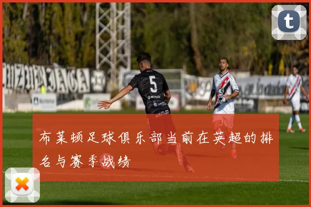 布莱顿足球俱乐部当前在英超的排名与赛季战绩