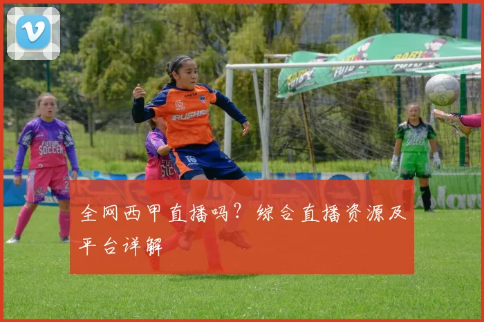 全网西甲直播吗？综合直播资源及平台详解