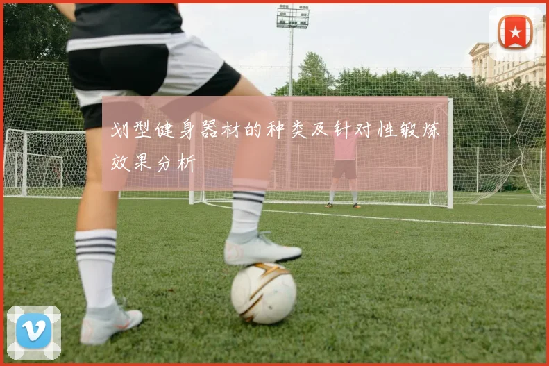 划型健身器材的种类及针对性锻炼效果分析