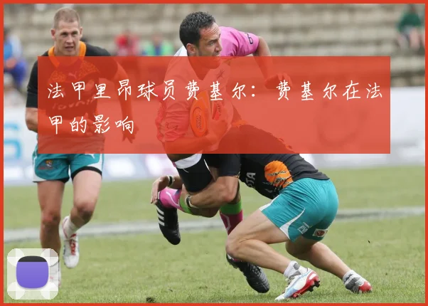 法甲里昂球员费基尔：费基尔在法甲的影响