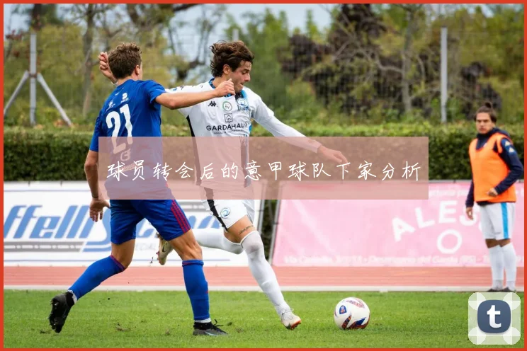 球员转会后的意甲球队下家分析