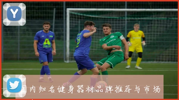 国内知名健身器材品牌推荐与市场动态