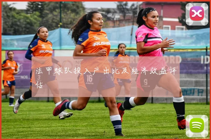 法甲球队投入产出比及经济效益评估